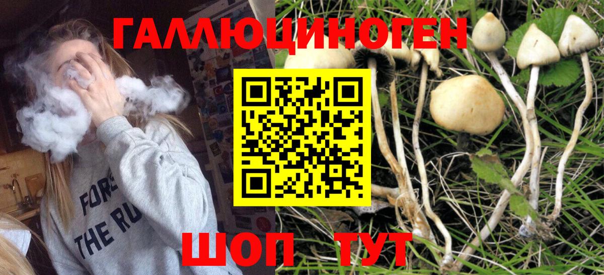 Псилоцибиновые грибы мицелий  Галлюциногенные грибы мухоморы  Вход с VPN  Елец 