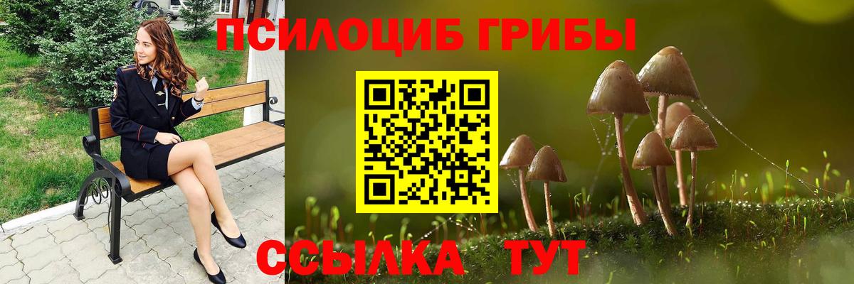 Галлюциногенные грибы ЛСД Елец